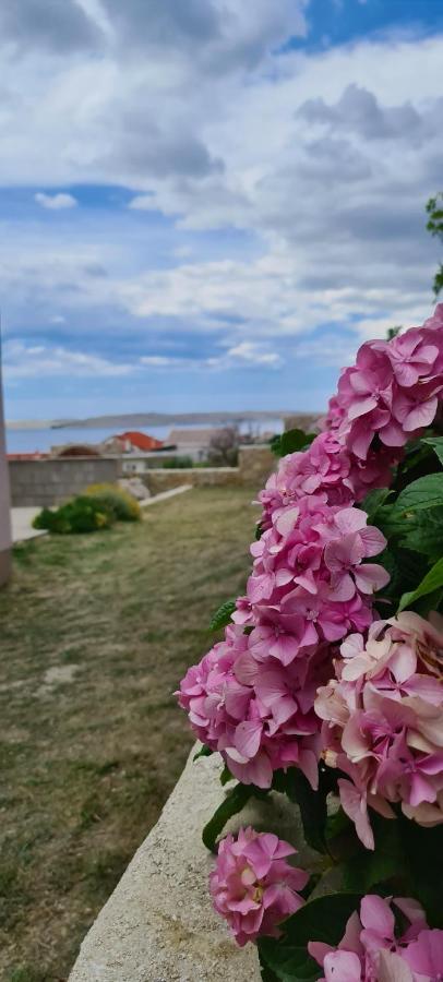 Apartmani Cesar Rtina Zewnętrze zdjęcie